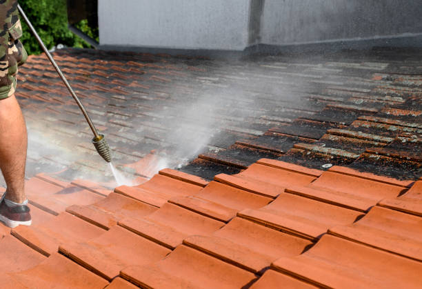 Best Local Pressure Washing Services  in West, TX